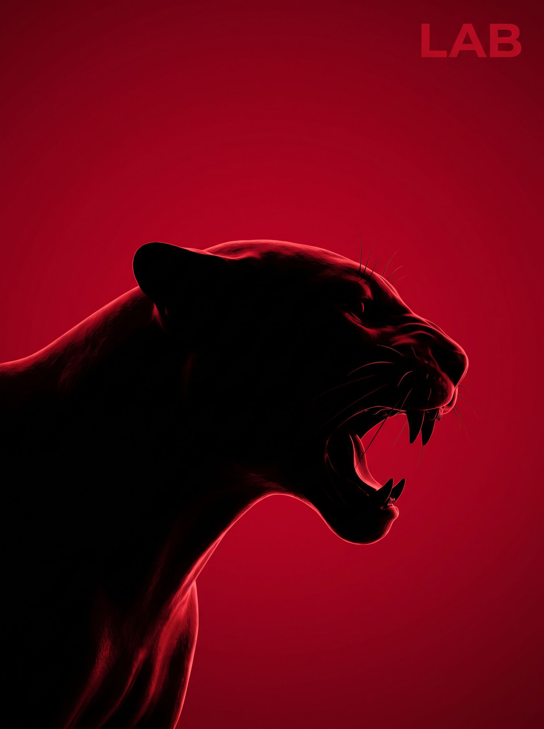 LAB — Art direction