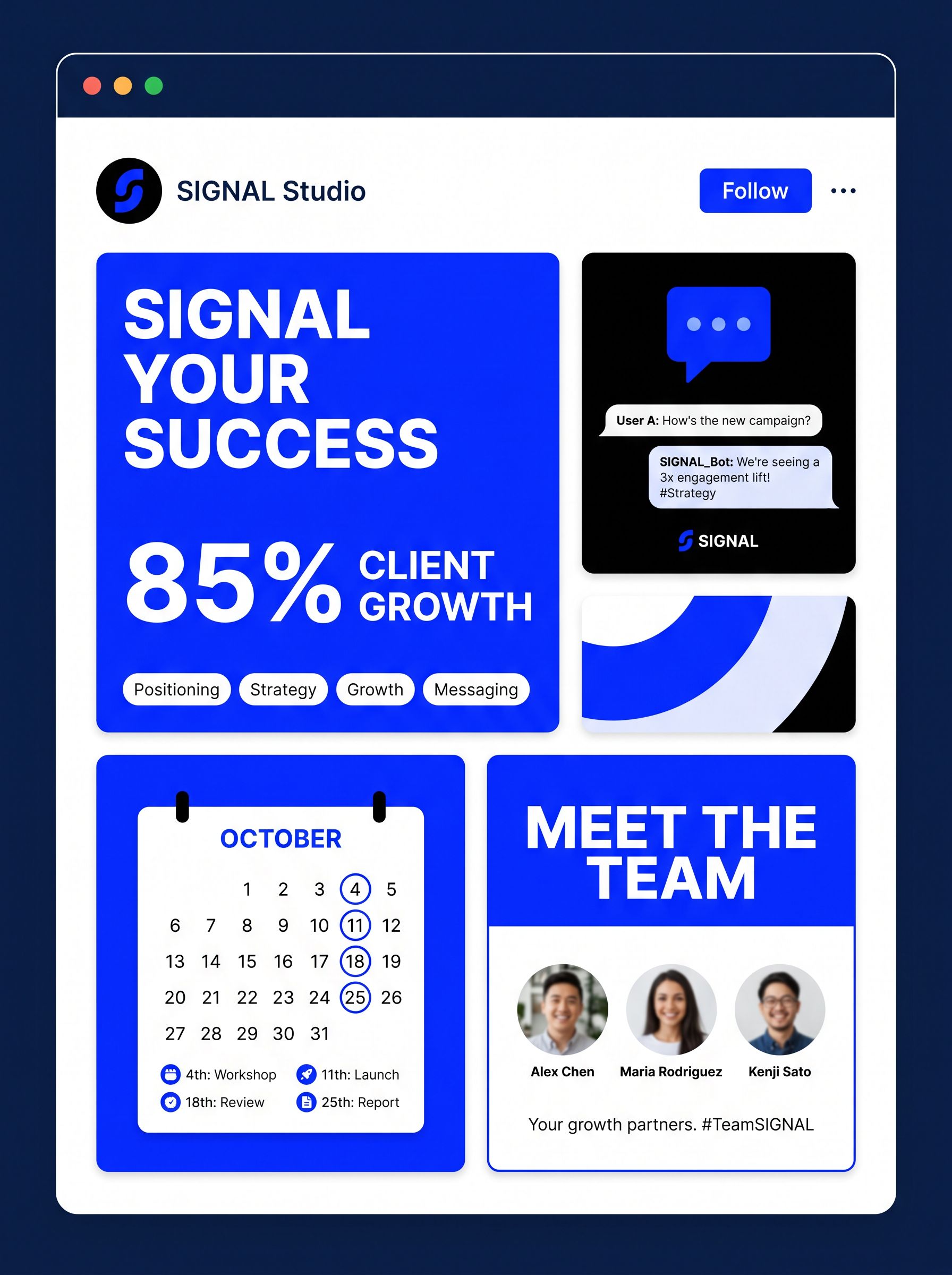 SIGNAL — Social system